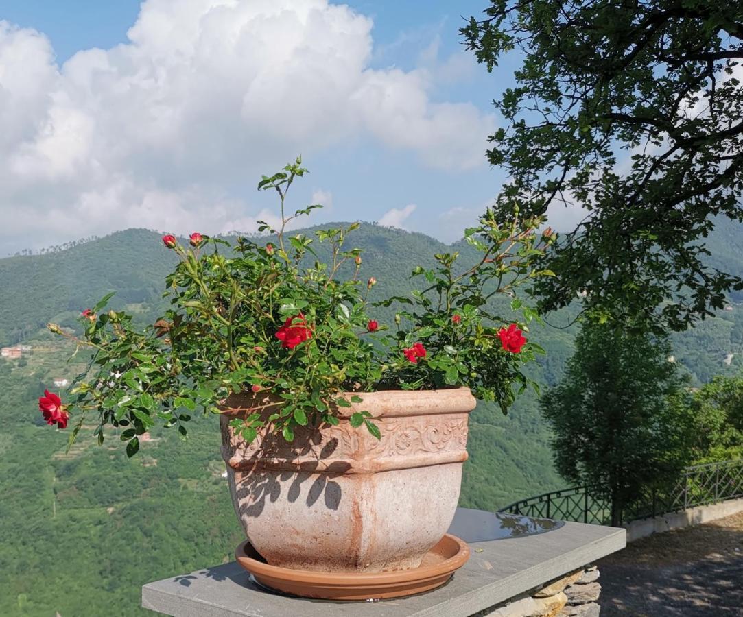 Bed and Breakfast Elsa House Mezzanego Exterior foto