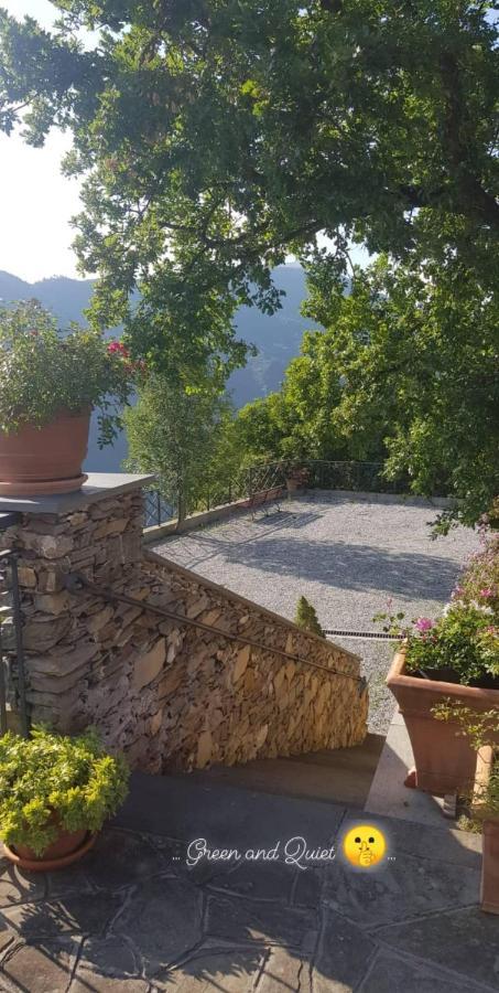 Bed and Breakfast Elsa House Mezzanego Exterior foto